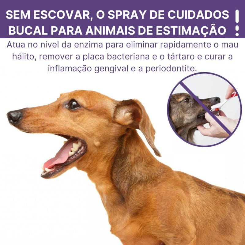 🔥Spray de limpeza de dentes para cães e gatos